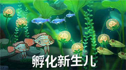 池趣最新版