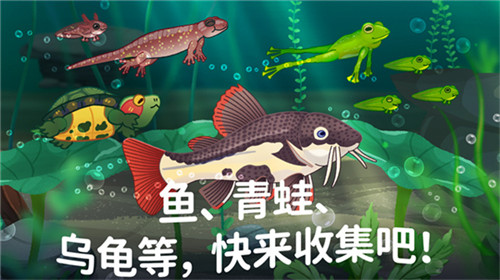 池趣最新版