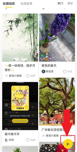 网易小蜜蜂最新版