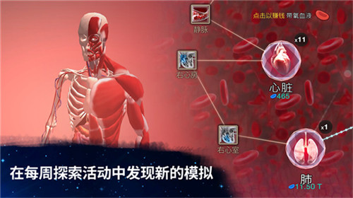从细胞到奇点手游版