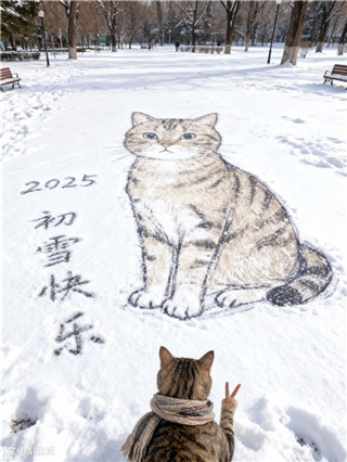文心手机版