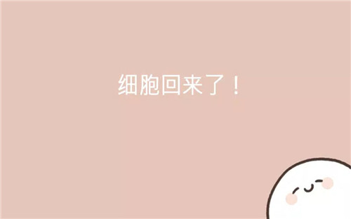 我的49天与细胞免费版