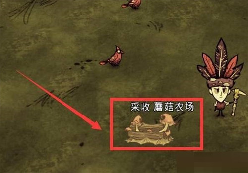 饥荒蘑菇农场怎么使用-饥荒蘑菇农场使用方法详情介绍攻略