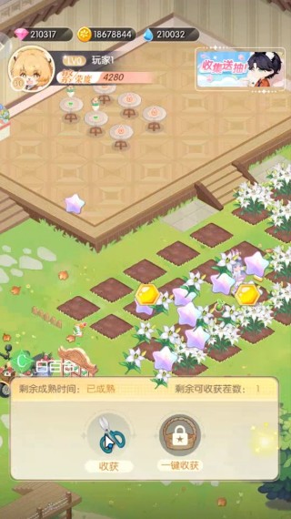 明星花店官方版怎么玩