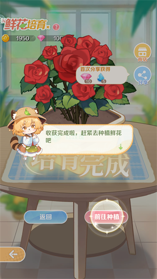 明星花店官方版新手攻略