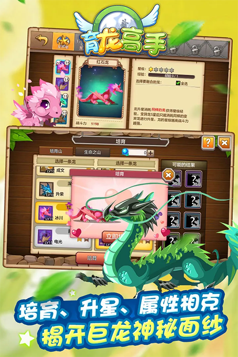 育龙高手百度版