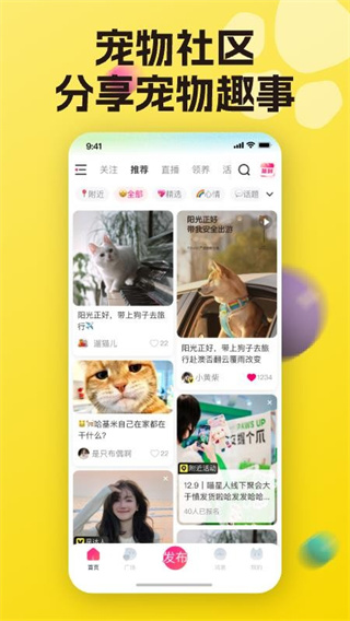 宠之谷app下载