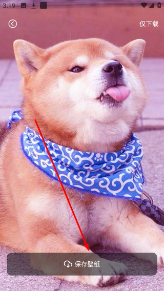 万能小组件盒子免费版怎么保存壁纸