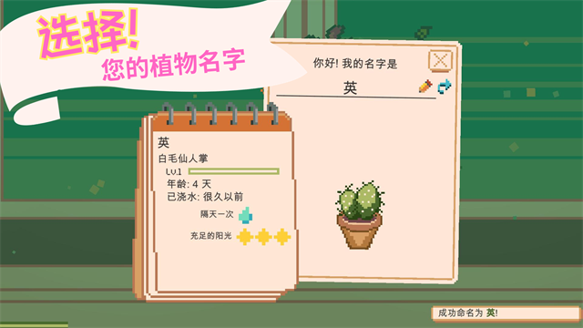 窗边花园最新版