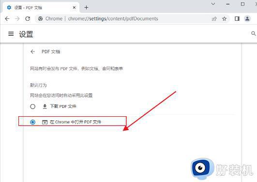 谷歌浏览器pdf文件打不开怎么办_谷歌浏览器打开pdf文件设置方法