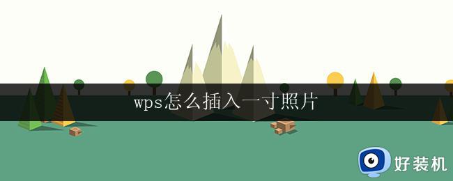 wps怎么插入一寸照片 wps如何在表格中插入一寸照片