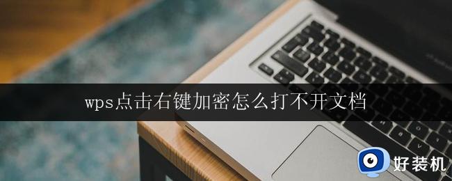 wps点击右键加密怎么打不开文档 wps加密后文档打不开怎么处理