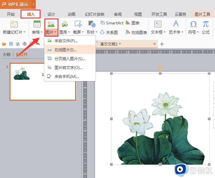 wps字和图片在一起怎么 wps字和图片如何同时显示在同一页面